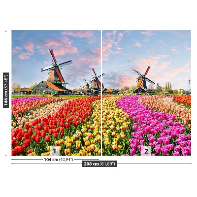 Fotobehang Tulpen windmolens