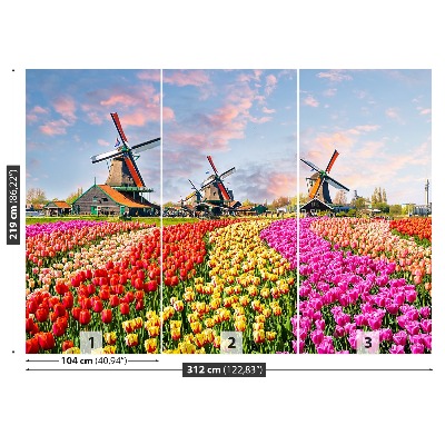 Fotobehang Tulpen windmolens