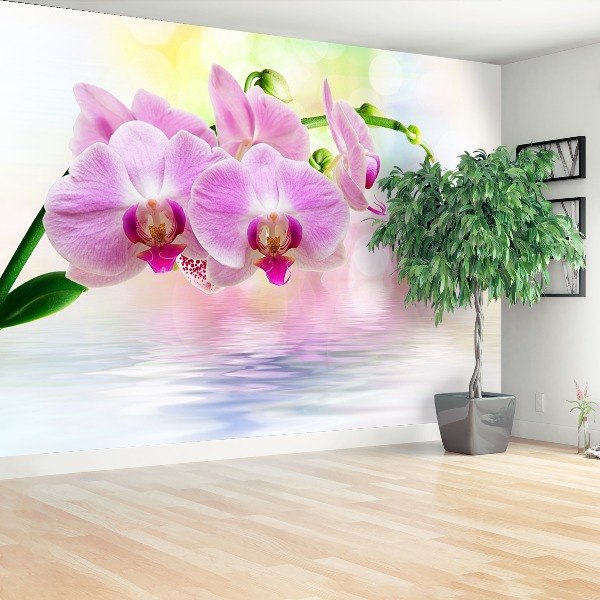 Zelfklevend fotobehang Orchideeënrozen