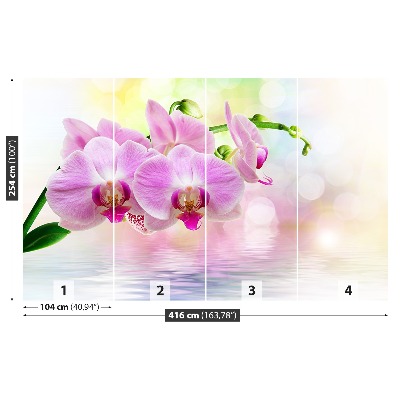 Zelfklevend fotobehang Orchideeënrozen