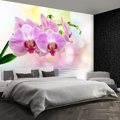 Zelfklevend fotobehang Orchideeënrozen