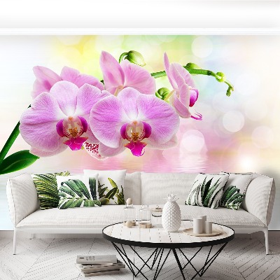 Zelfklevend fotobehang Orchideeënrozen