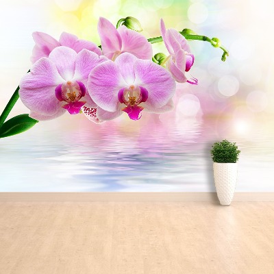 Zelfklevend fotobehang Orchideeënrozen