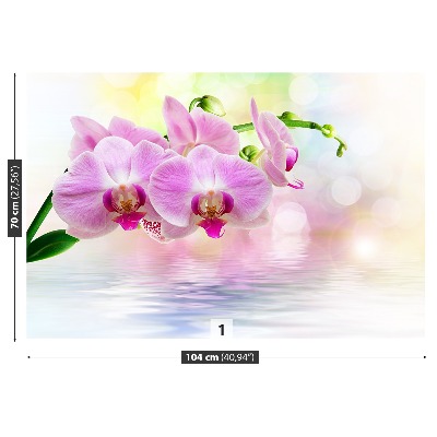 Zelfklevend fotobehang Orchideeënrozen