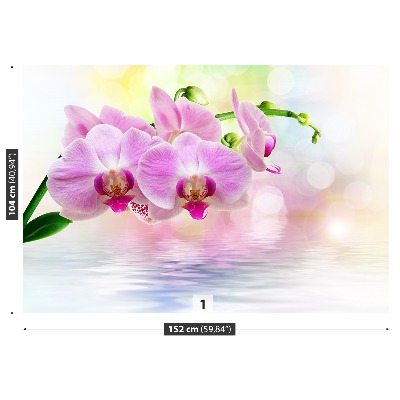 Zelfklevend fotobehang Orchideeënrozen