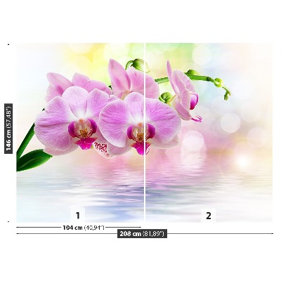 Zelfklevend fotobehang Orchideeënrozen