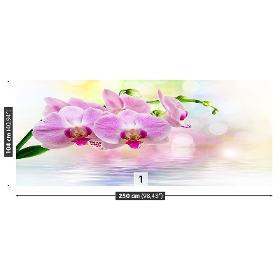 Zelfklevend fotobehang Orchideeënrozen