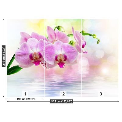 Zelfklevend fotobehang Orchideeënrozen