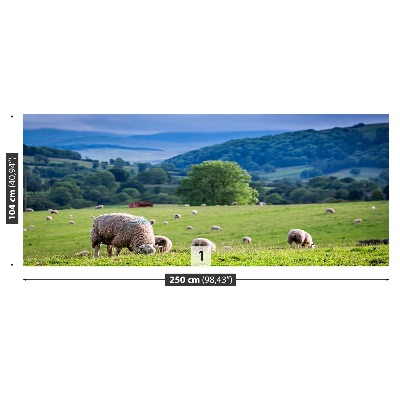 Fotobehang Schapen