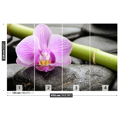 Zelfklevend fotobehang Orchideeënstenen