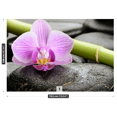 Zelfklevend fotobehang Orchideeënstenen