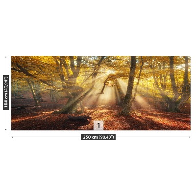 Fotobehang Magisch bos