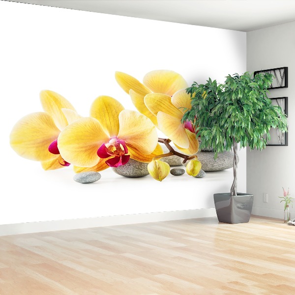Zelfklevend fotobehang Gele orchidee