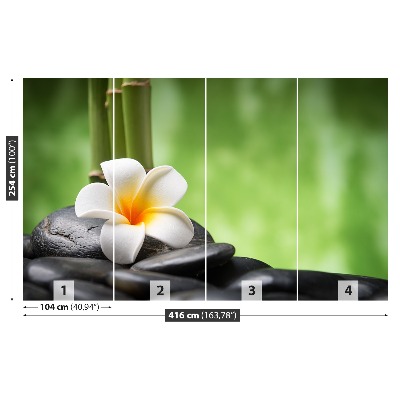 Zelfklevend fotobehang Spa bloem