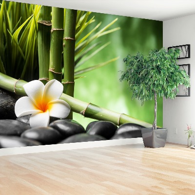 Zelfklevend fotobehang Frangipani bamboe