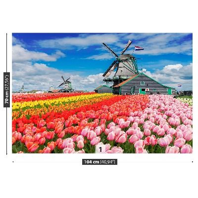 Fotobehang Nederland windmolens
