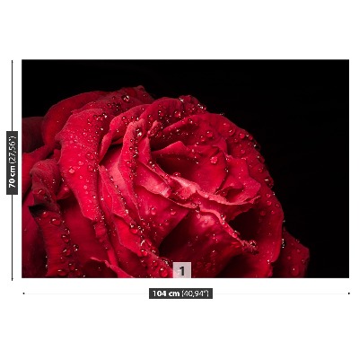 Zelfklevend fotobehang Rode roos