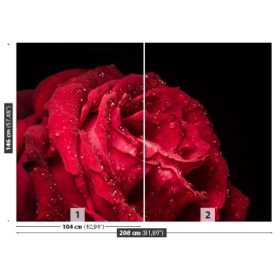 Zelfklevend fotobehang Rode roos