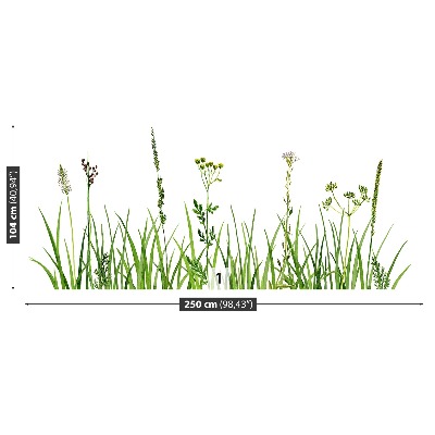 Zelfklevend fotobehang Gras kruiden