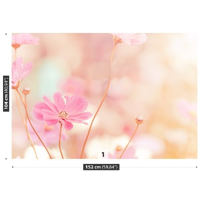 Zelfklevend fotobehang Roze kosmos bloemen