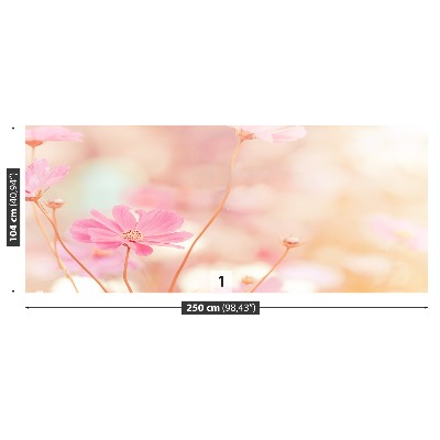 Zelfklevend fotobehang Roze kosmos bloemen