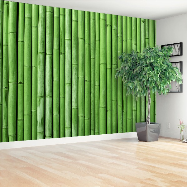 Zelfklevend fotobehang Bamboe groen