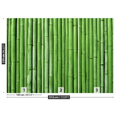 Zelfklevend fotobehang Bamboe groen