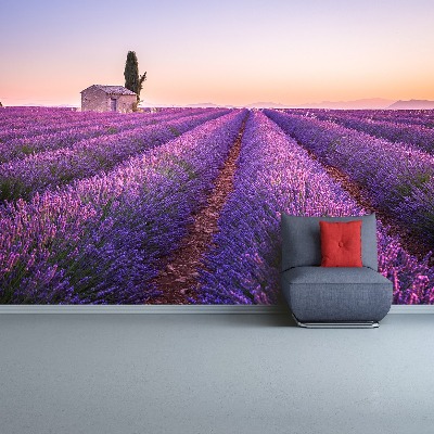 Fotobehang Lavendel provence