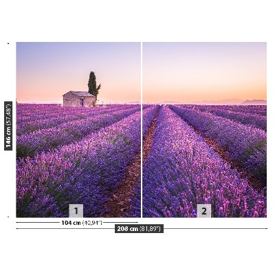 Fotobehang Lavendel provence