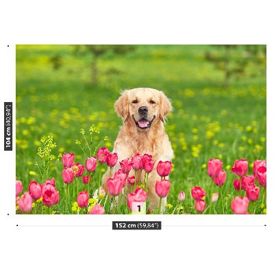 Zelfklevend fotobehang Tulpen