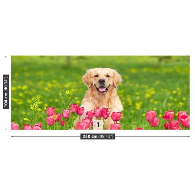 Zelfklevend fotobehang Tulpen