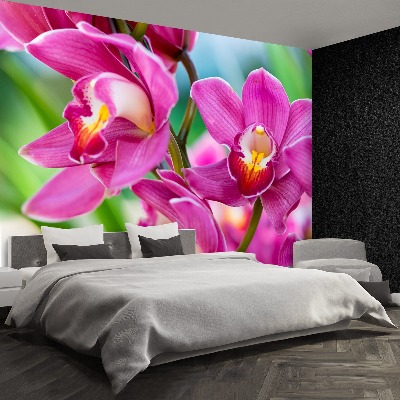 Zelfklevend fotobehang Roze orchideeën
