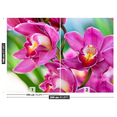 Zelfklevend fotobehang Roze orchideeën