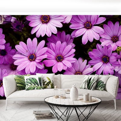 Zelfklevend fotobehang Paarse bloemen