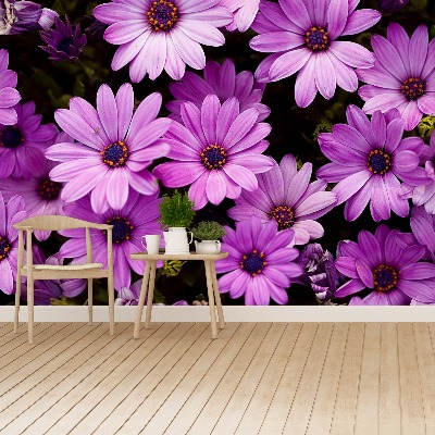 Zelfklevend fotobehang Paarse bloemen
