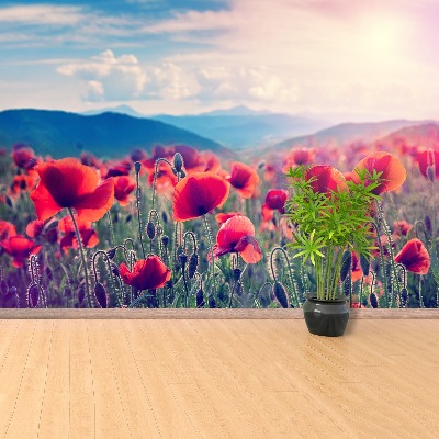 Fotobehang Poppy bloemen