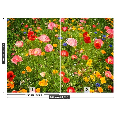 Zelfklevend fotobehang Weide bloemen