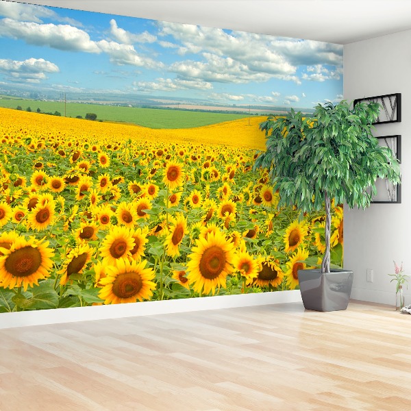 Fotobehang Zonnebloemen veld