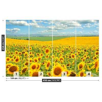 Fotobehang Zonnebloemen veld