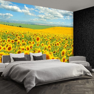 Fotobehang Zonnebloemen veld