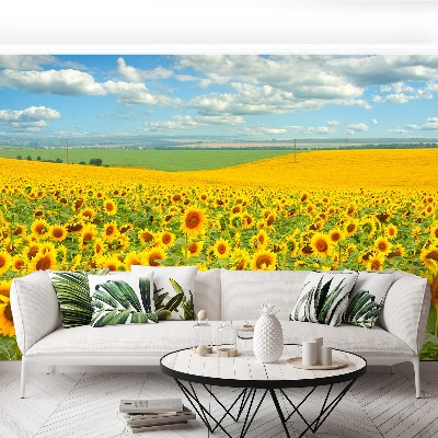 Fotobehang Zonnebloemen veld