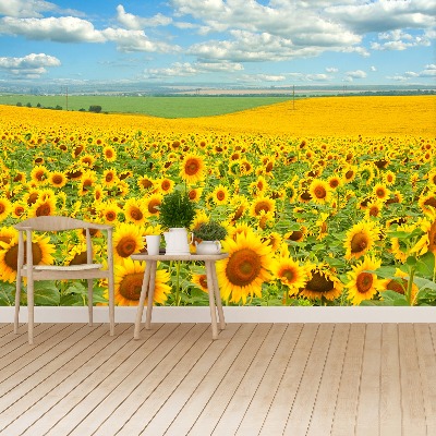 Fotobehang Zonnebloemen veld