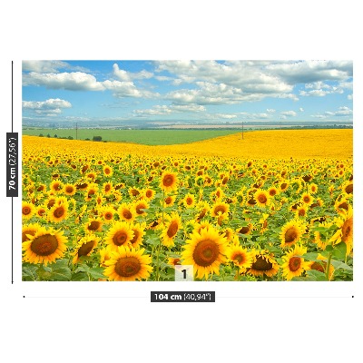 Fotobehang Zonnebloemen veld