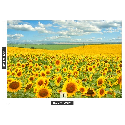 Fotobehang Zonnebloemen veld