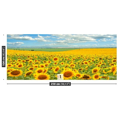 Fotobehang Zonnebloemen veld