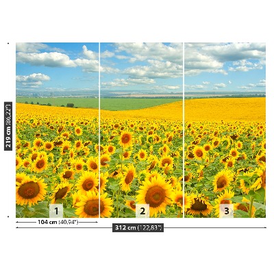 Fotobehang Zonnebloemen veld