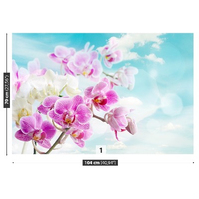 Zelfklevend fotobehang Blauwe orchideeën