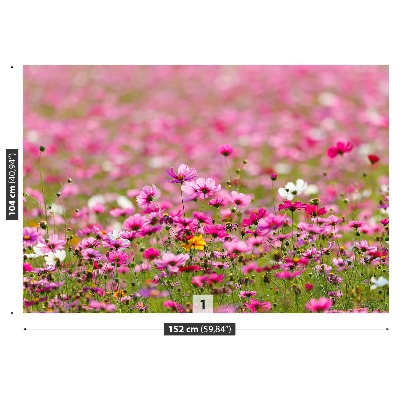 Fotobehang Kosmos-bloemen