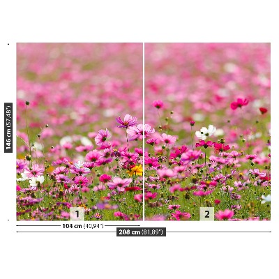 Fotobehang Kosmos-bloemen