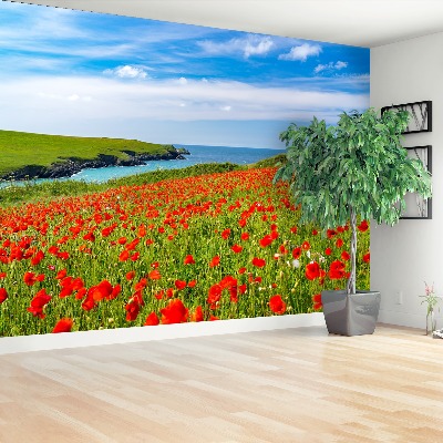 Fotobehang Poppy veld